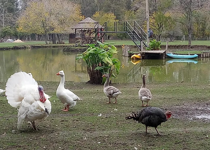 La Justina - Nuestro Campo