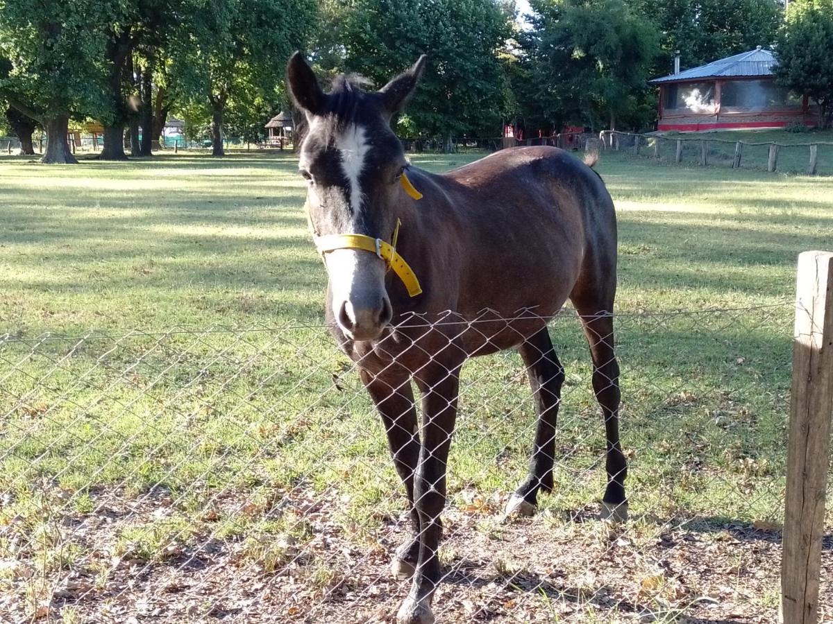 La Justina - Nuestro Campo
