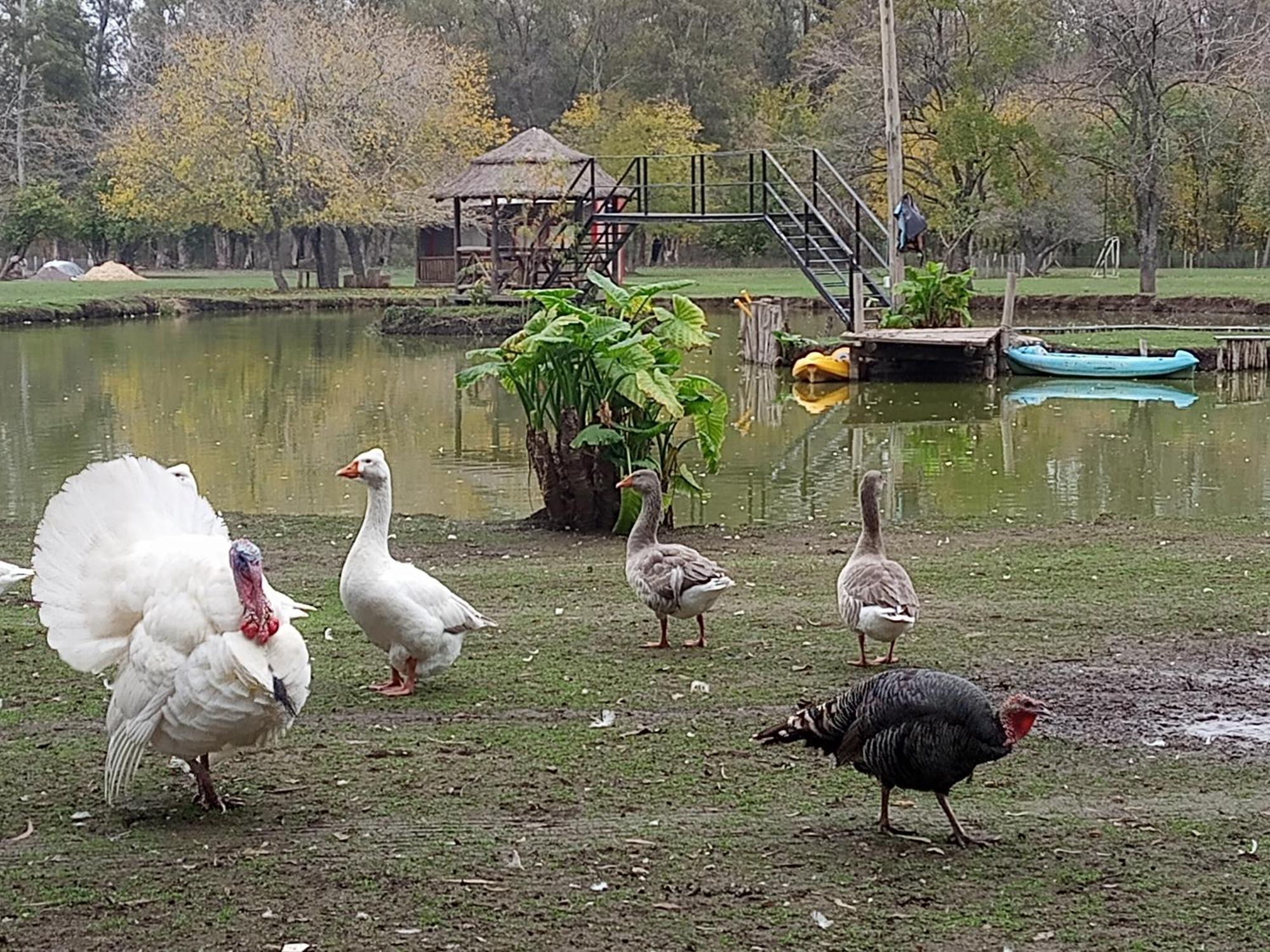 La Justina - Nuestro Campo *
